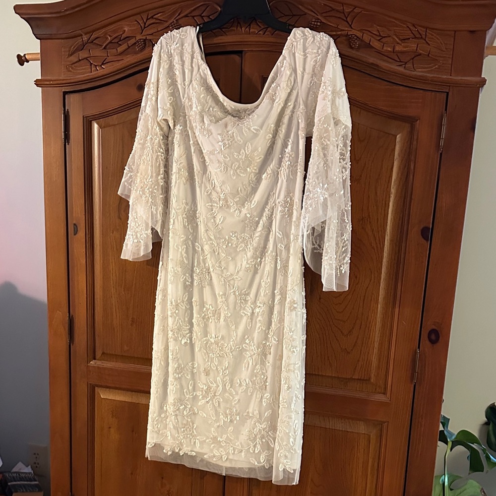 Adrianna Papell Ivory Lace Long Sleeve Dress